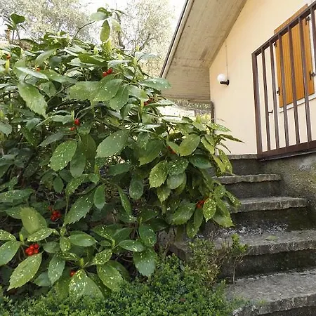 Rossone * Torri Del Benaco