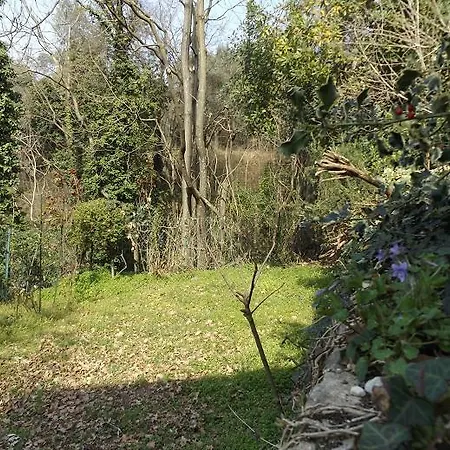 Rossone Villa Torri Del Benaco
