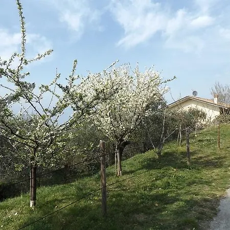 Villa Rossone *