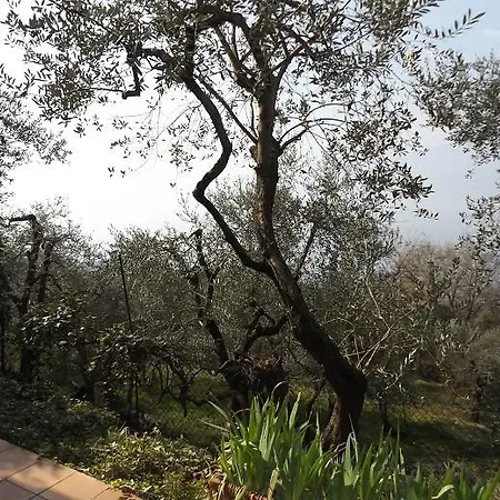 Villa Rossone Torri Del Benaco
