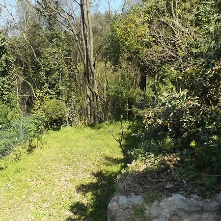 Rossone Torri Del Benaco